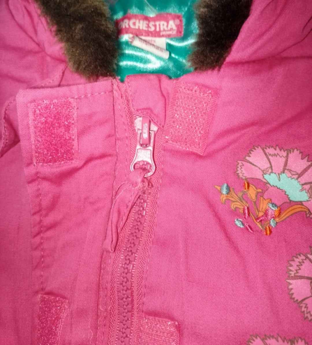 Doudoune à capuche Orchestra